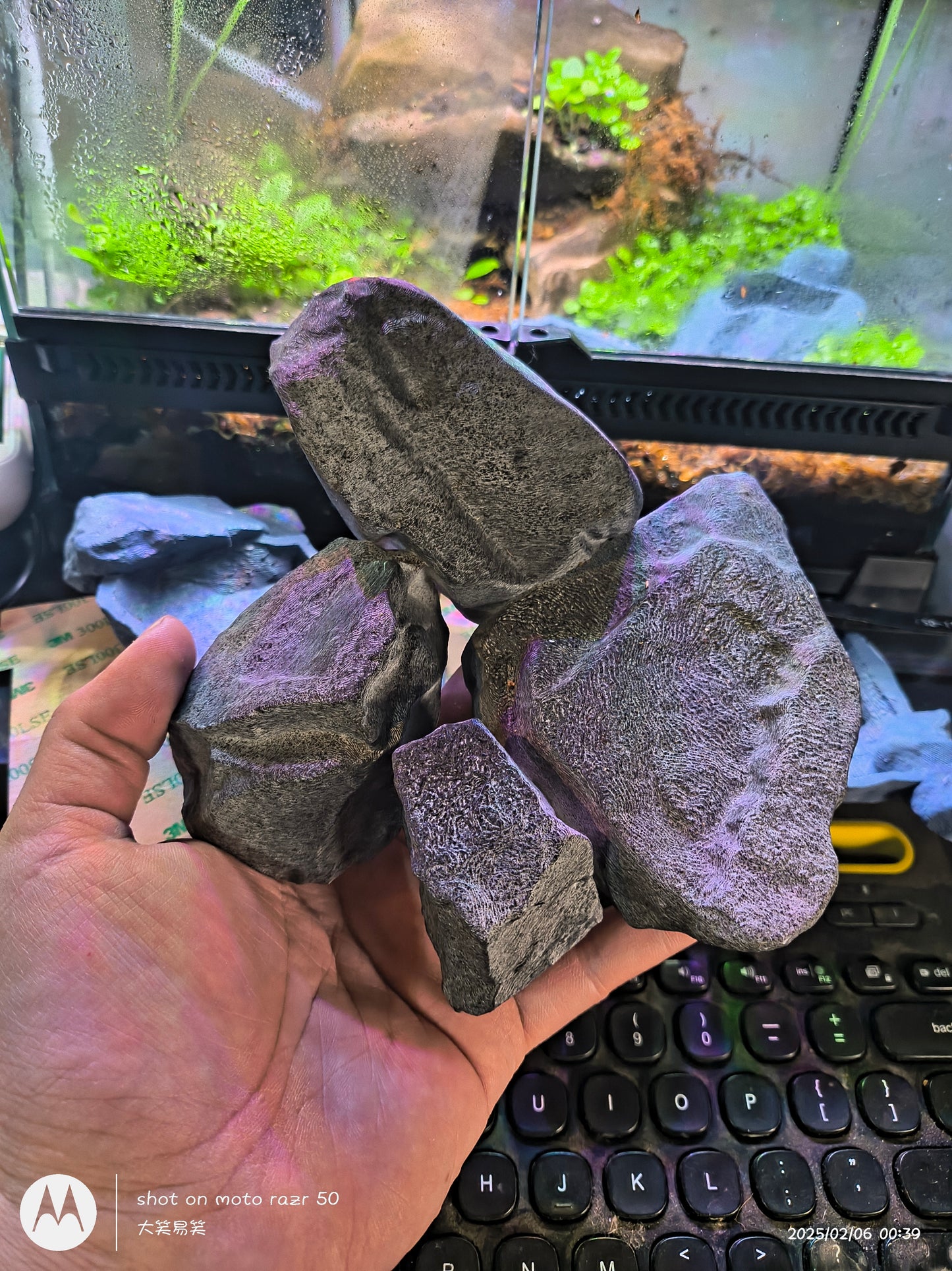 3D打印爬行动物仿石布景装饰套装