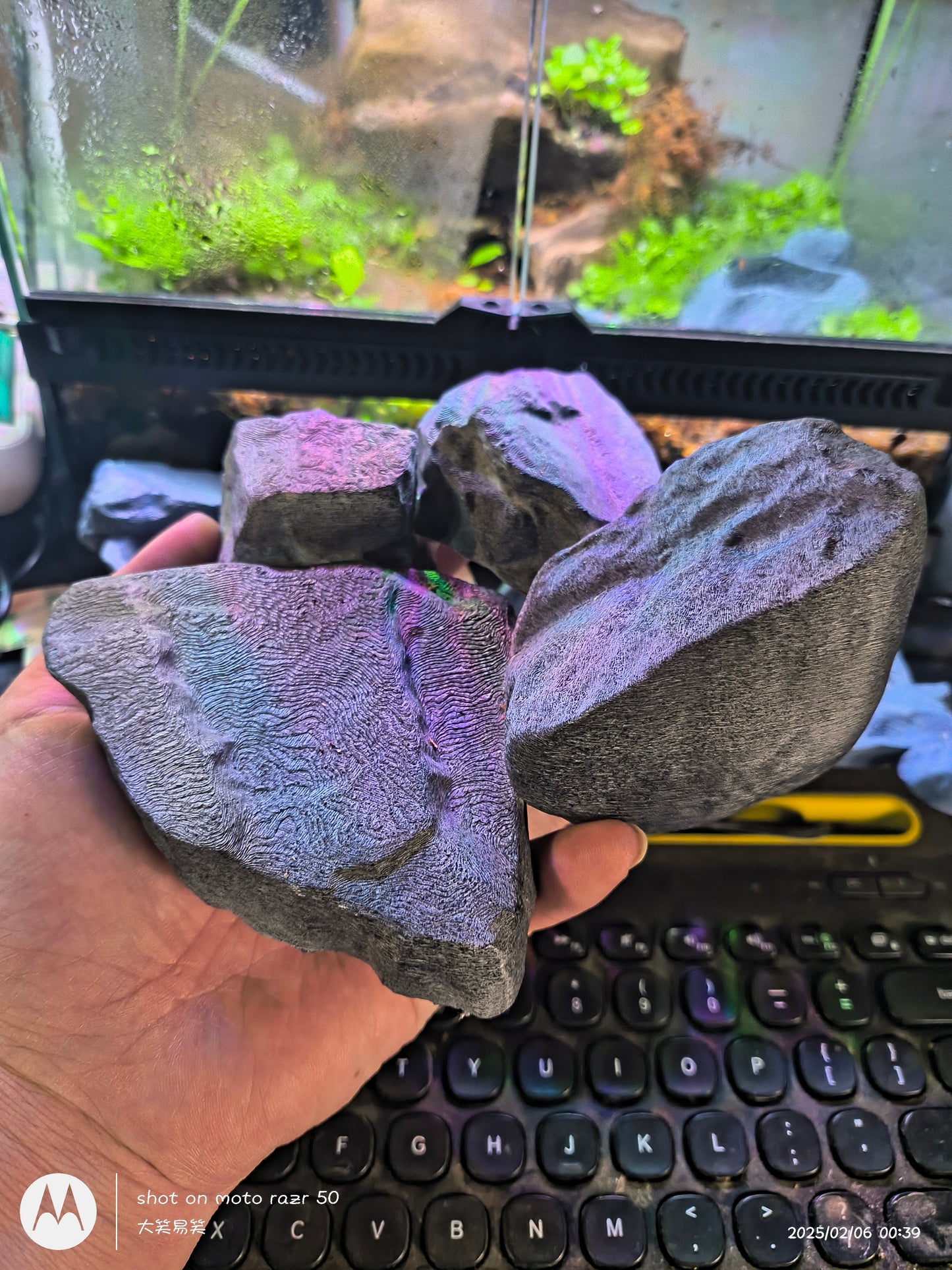 3D打印爬行动物仿石布景装饰套装