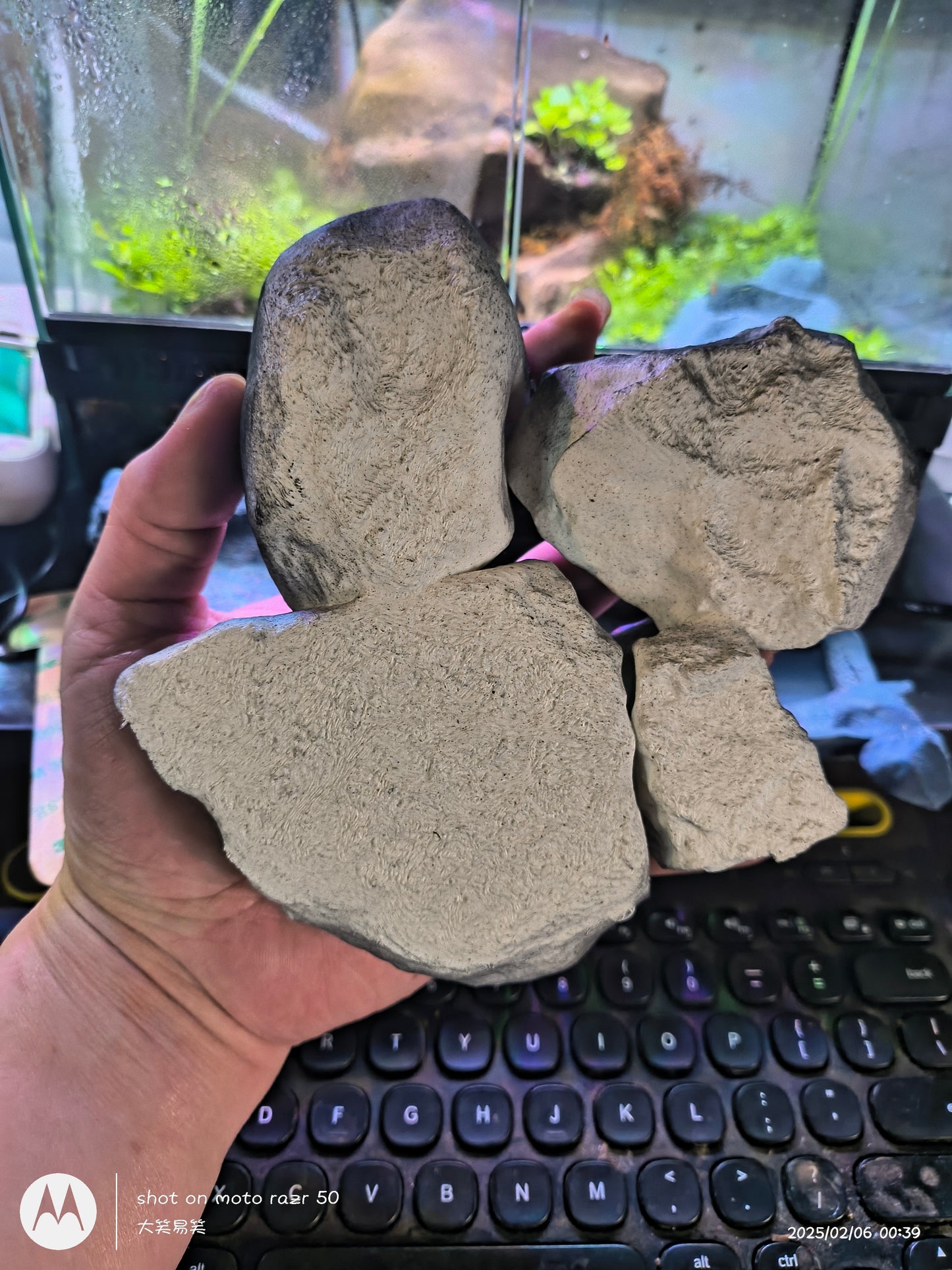 3D打印爬行动物仿石布景装饰套装